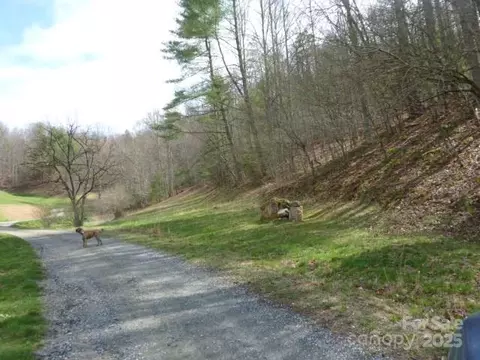 Joe Tweed Road, Marshall, NC 28753 photo 5