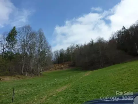 Joe Tweed Road, Marshall, NC 28753 photo 4