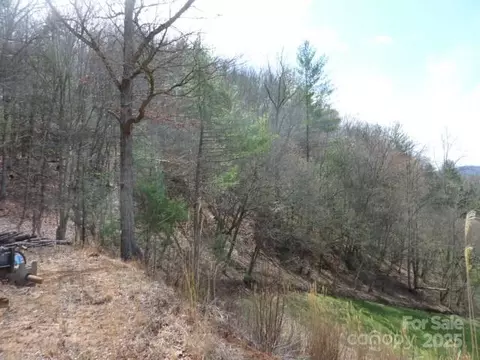 Joe Tweed Road, Marshall, NC 28753 photo 20