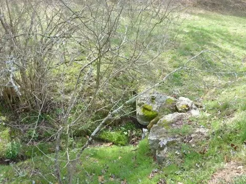 Joe Tweed Road, Marshall, NC 28753 photo 7