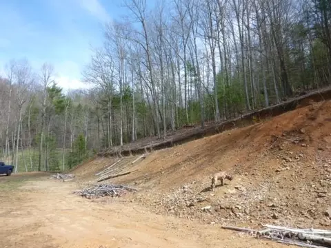 Joe Tweed Road, Marshall, NC 28753 photo 24