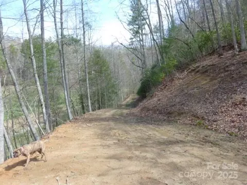 Joe Tweed Road, Marshall, NC 28753 photo 26