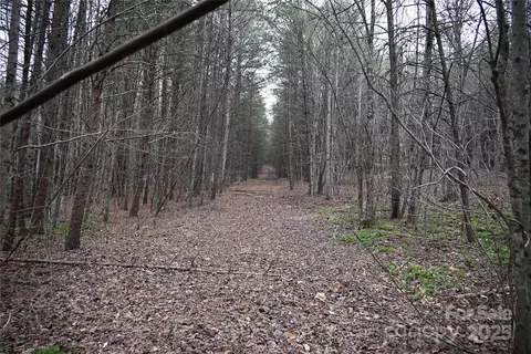 0 Wards Gap Rd, Casar, NC 28020 photo 22