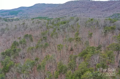 0 Wards Gap Rd, Casar, NC 28020 photo 14