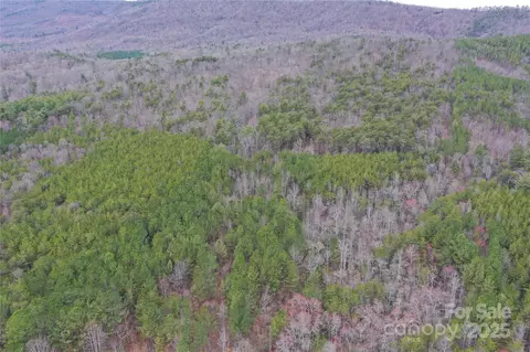 0 Wards Gap Rd, Casar, NC 28020 photo 12