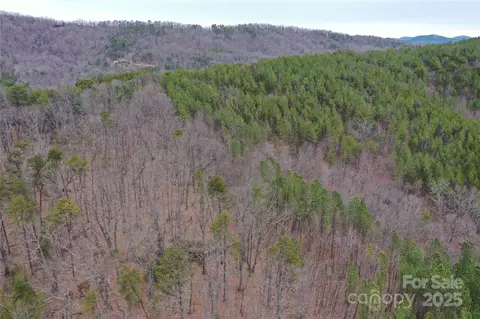 0 Wards Gap Rd, Casar, NC 28020 photo 13