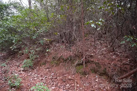 0 Wards Gap Rd, Casar, NC 28020 photo 24