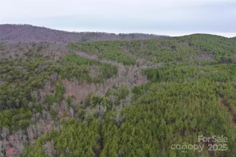 0 Wards Gap Rd, Casar, NC 28020 photo 7