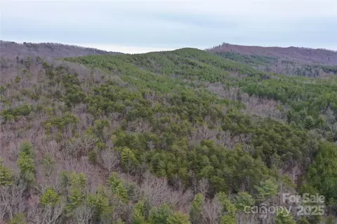 0 Wards Gap Rd, Casar, NC 28020 photo 9