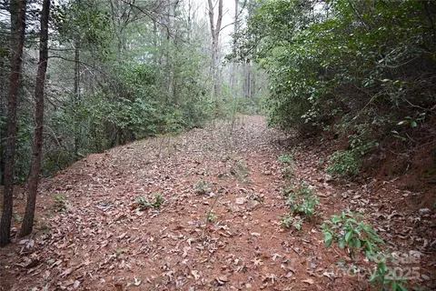 0 Wards Gap Rd, Casar, NC 28020 photo 23