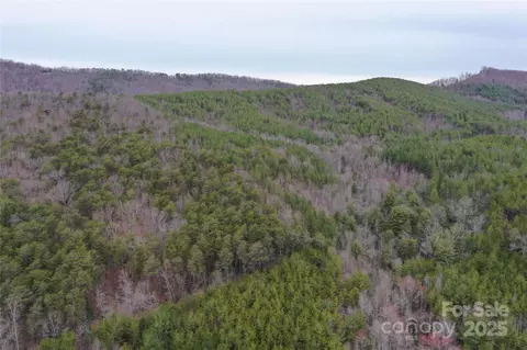 0 Wards Gap Rd, Casar, NC 28020 photo 8