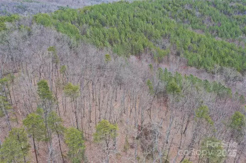 0 Wards Gap Rd, Casar, NC 28020 photo 16