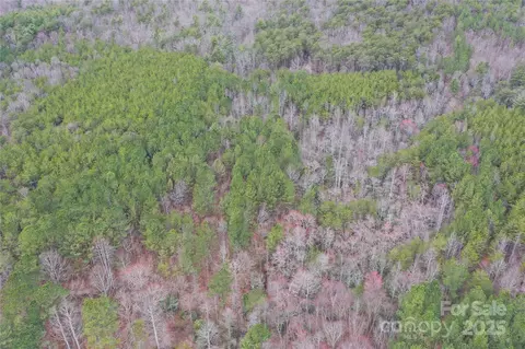0 Wards Gap Rd, Casar, NC 28020 photo 11