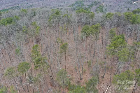 0 Wards Gap Rd, Casar, NC 28020 photo 15