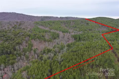 0 Wards Gap Rd, Casar, NC 28020