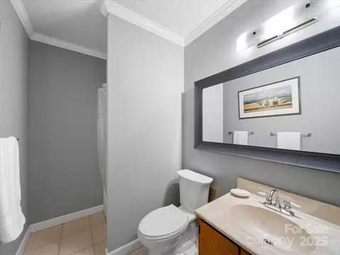 Bath - 925 Lanier Ln, Monroe, NC 28110 photo 5 of 5