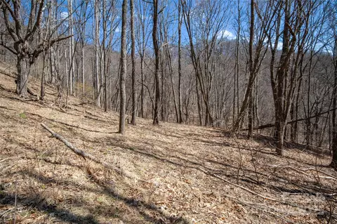 99999 Robinson Cove Pt 5 Rd #PT 5, Leicester, NC 28748