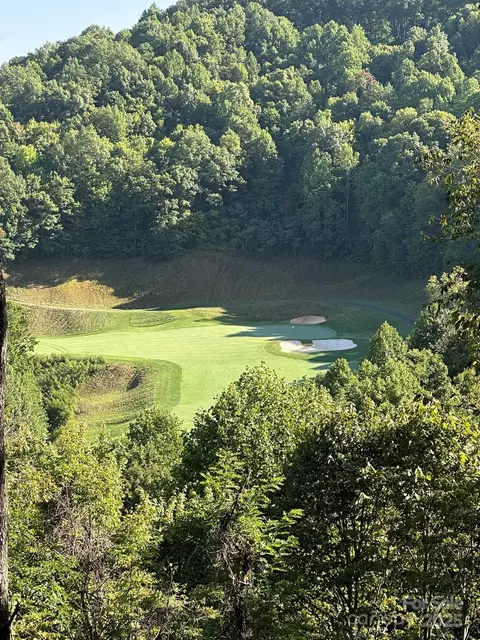 142 Old Growth 58 Way #58, Sylva, NC 28779