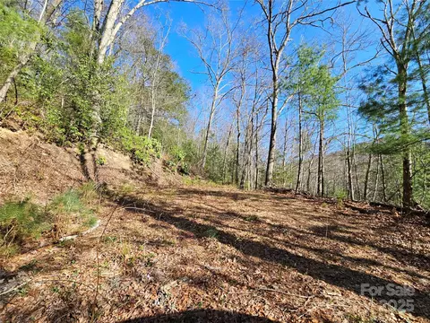 0 Laurel Branch Rd, Waynesville, NC 28785