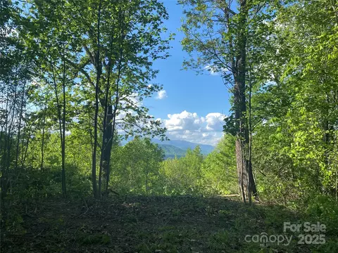 1099 Mitchell View 915915a Dr #915/915A, Old Fort, NC 28762