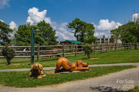 721 Pine Ridge Rd, Beech Mountain, NC 28604 photo 35