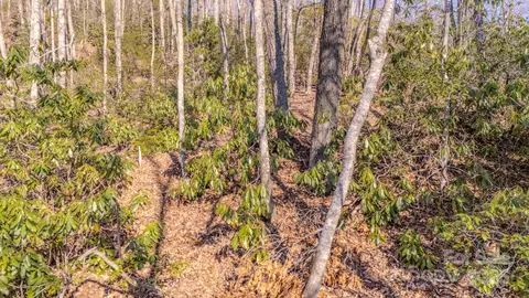 99999 Upper Peace Dr, Candler, NC 28715