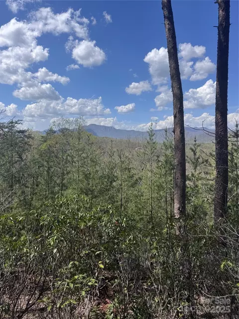 0 High Pines 162 Loop #162, Lake Lure, NC 28746