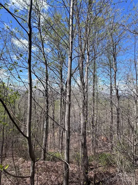 0 High Pines 158 Loop #158, Lake Lure, NC 28746