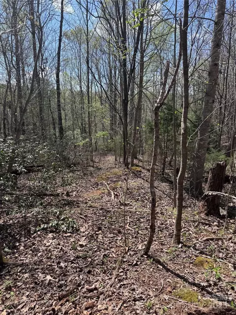 0 Brookside 10 Pkwy #10, Lake Lure, NC 28746