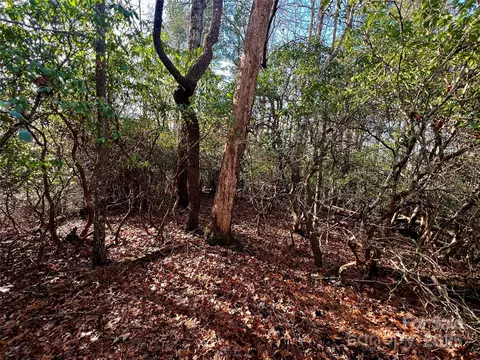 Thunder Road, Brevard, NC 28712 photo 9
