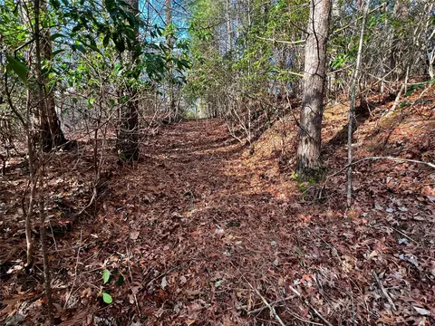 Thunder Road, Brevard, NC 28712 photo 14