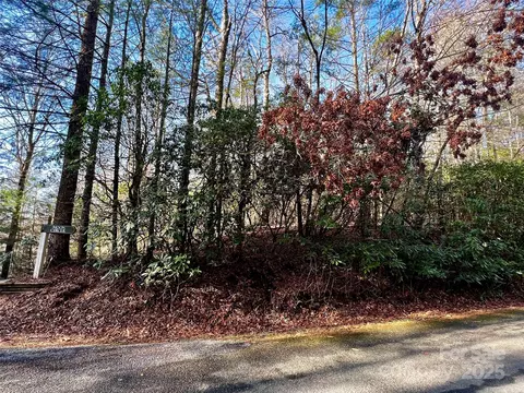 Thunder Road, Brevard, NC 28712 photo 5