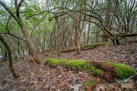 Thunder Road, Brevard, NC 28712 photo 3