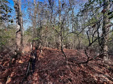 Thunder Road, Brevard, NC 28712 photo 8
