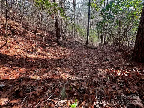 Thunder Road, Brevard, NC 28712 photo 12