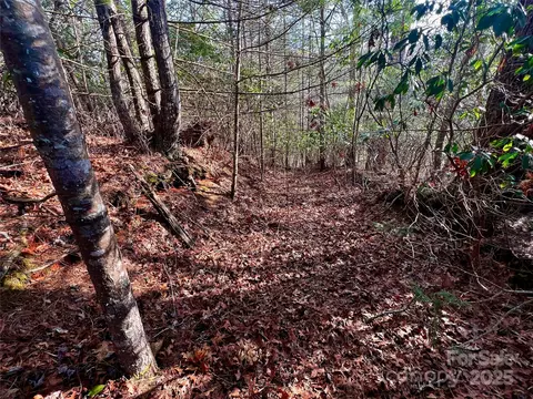 Thunder Road, Brevard, NC 28712 photo 10
