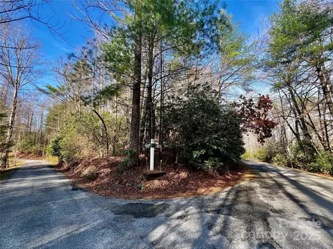 Thunder Road, Brevard, NC 28712 photo 16