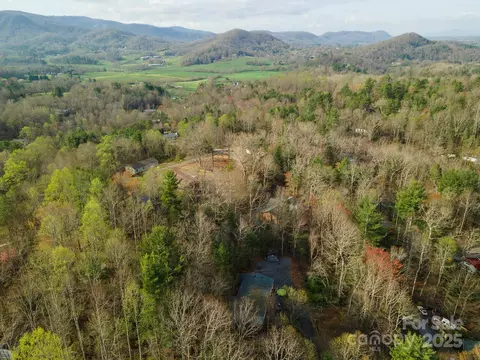 55 Whitaker Cir, Fairview, NC 28730 photo 44