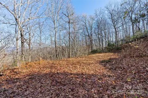Winter Moon Ridge, Sylva, NC 28779 photo 11