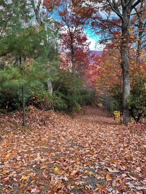 Winter Moon Ridge, Sylva, NC 28779 photo 26