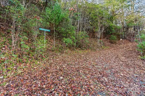 Winter Moon Ridge, Sylva, NC 28779 photo 2