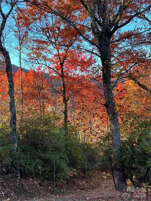 Winter Moon Ridge, Sylva, NC 28779