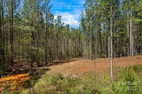 19 Sunset 19 Dr #19, Mill Spring, NC 28756 photo 4