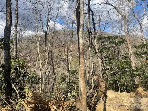5 Copperhead Cv, Sylva, NC 28779 photo 9