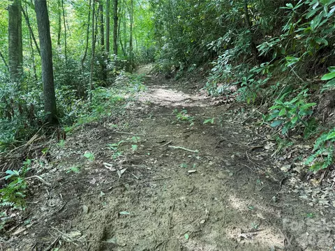 5 Copperhead Cv, Sylva, NC 28779 photo 27