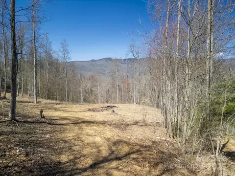 6 Copperhead Cv, Sylva, NC 28779 photo 10