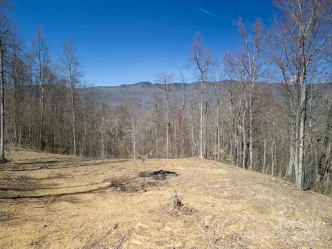 6 Copperhead Cv, Sylva, NC 28779 photo 5