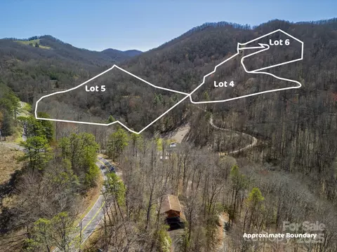 6 Copperhead Cv, Sylva, NC 28779 photo 30