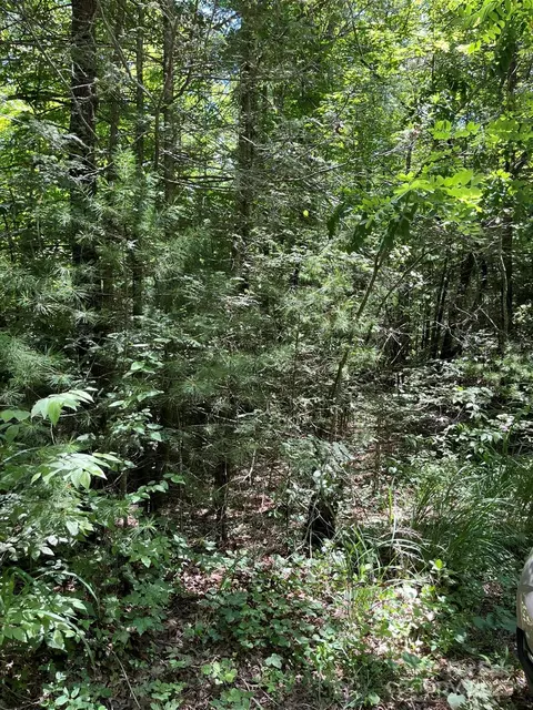 00 Pleasant Grove Church Rd, Hendersonville, NC 28792