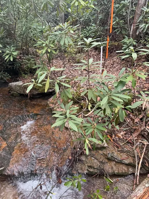Cherrywood A Lane #A, Pisgah Forest, NC 28768